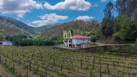 Moradia T3 para Venda em Bouro (Santa Maria)