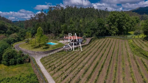 Moradia T3 para Venda em Bouro (Santa Maria)