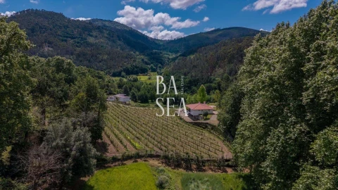 Moradia T3 para Venda em Bouro (Santa Maria)