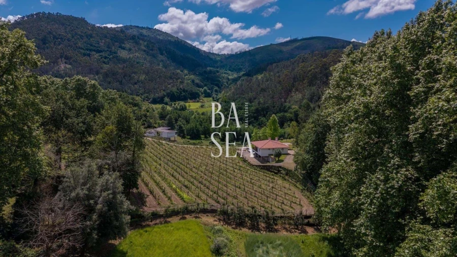 Moradia T3 para Venda em Bouro (Santa Maria) Foto 39