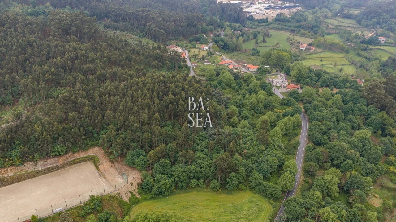 Quinta para Venda em Antime e Silvares (São Clemente) Foto 9