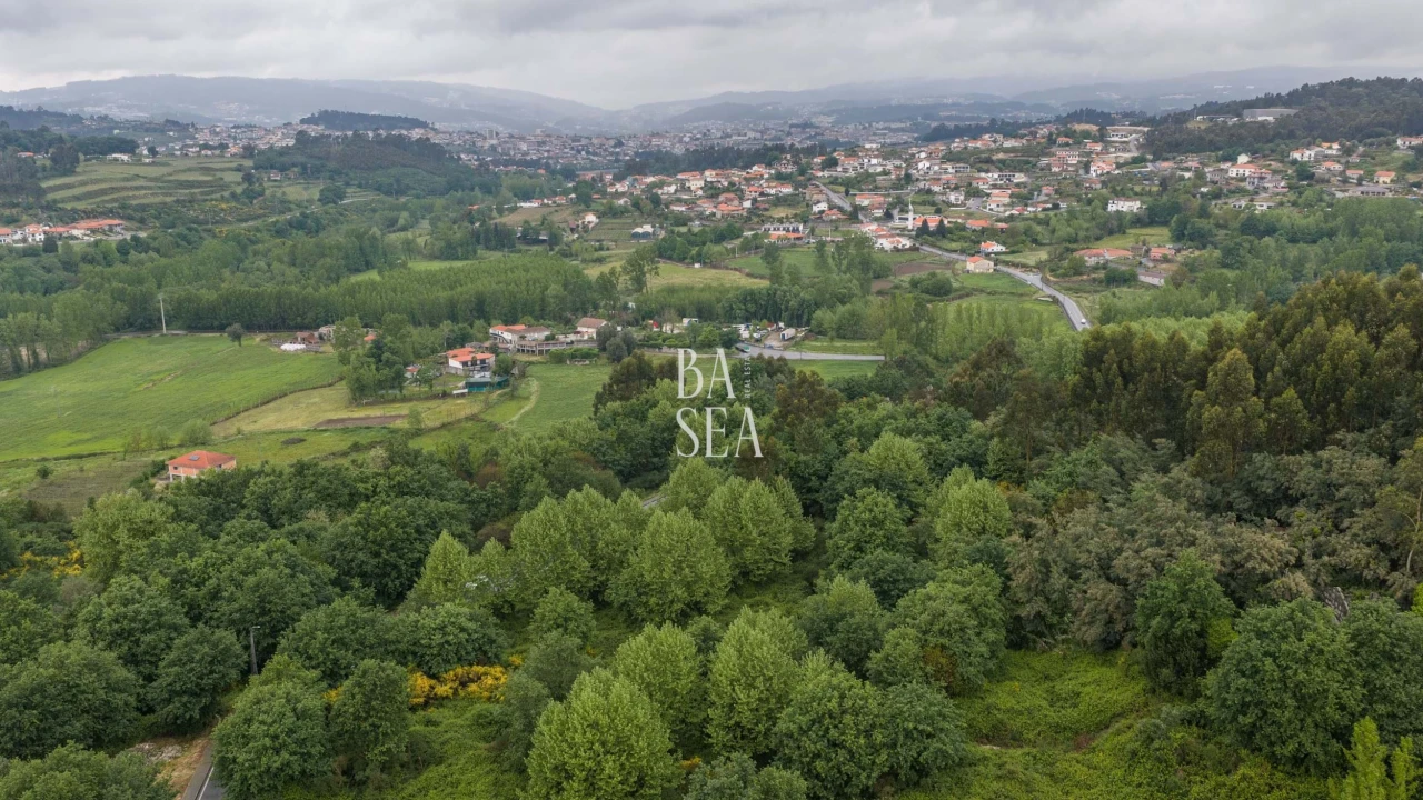 Quinta para Venda em Antime e Silvares (São Clemente) Foto 25