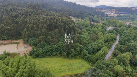 Quinta para Venda em Antime e Silvares (São Clemente)