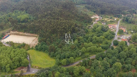 Quinta para Venda em Antime e Silvares (São Clemente)