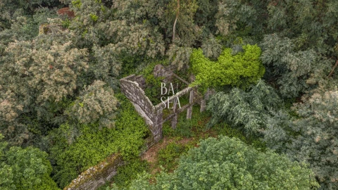 Quinta para Venda em Antime e Silvares (São Clemente)