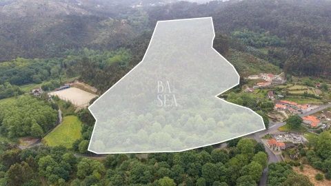 Quinta para Venda em Antime e Silvares (São Clemente)