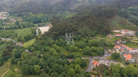 Quinta para Venda em Antime e Silvares (São Clemente)
