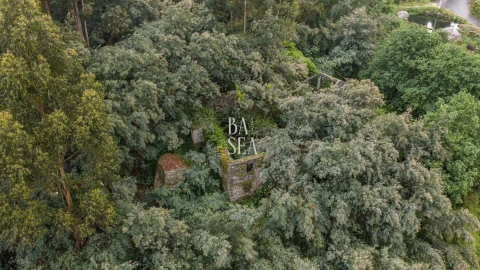 Quinta para Venda em Antime e Silvares (São Clemente)