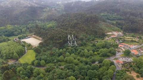 Quinta para Venda em Antime e Silvares (São Clemente)