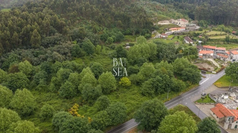 Quinta para Venda em Antime e Silvares (São Clemente)