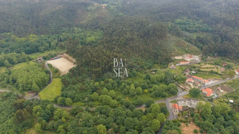 Quinta para Venda em Antime e Silvares (São Clemente)