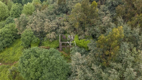 Quinta para Venda em Antime e Silvares (São Clemente)