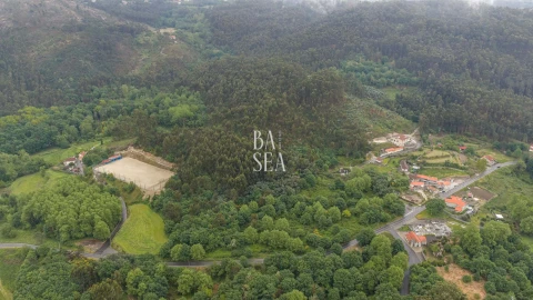 Quinta para Venda em Antime e Silvares (São Clemente)