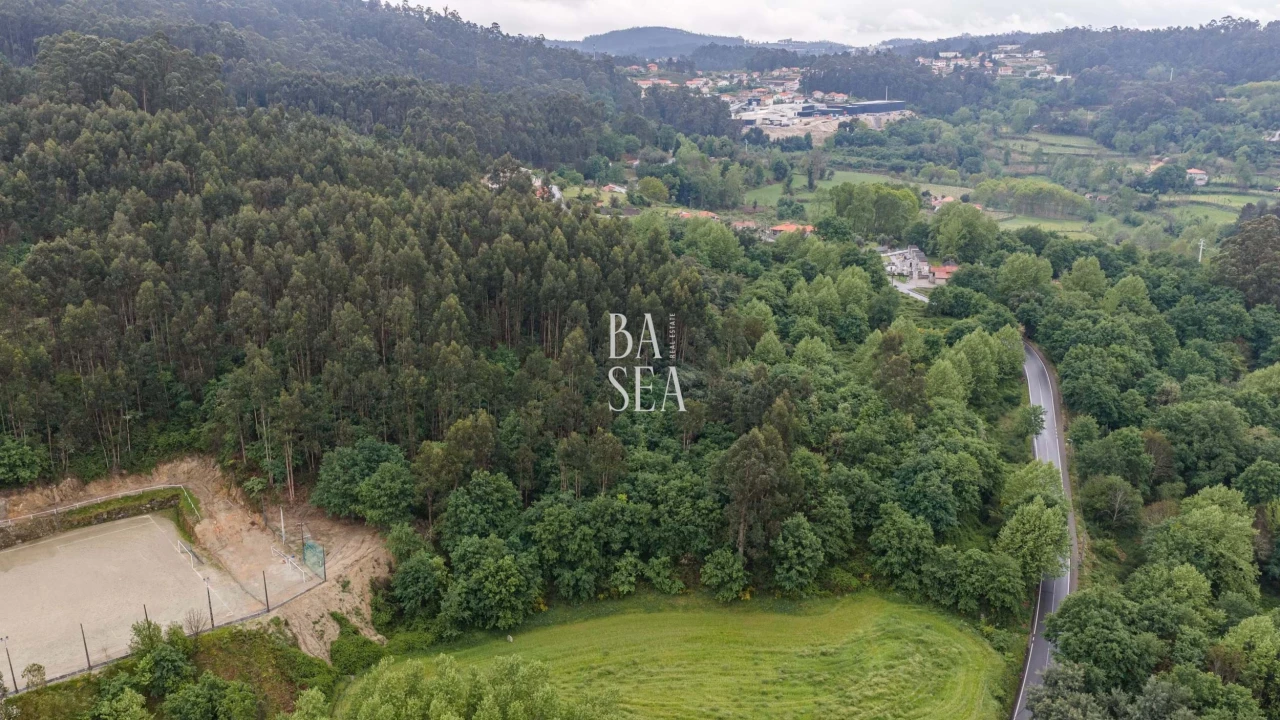Quinta para Venda em Antime e Silvares (São Clemente) Foto 14