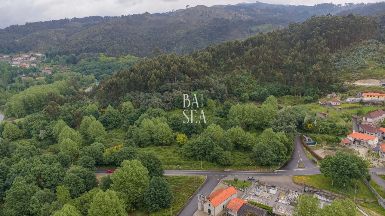 Quinta para Venda em Antime e Silvares (São Clemente) Foto 15