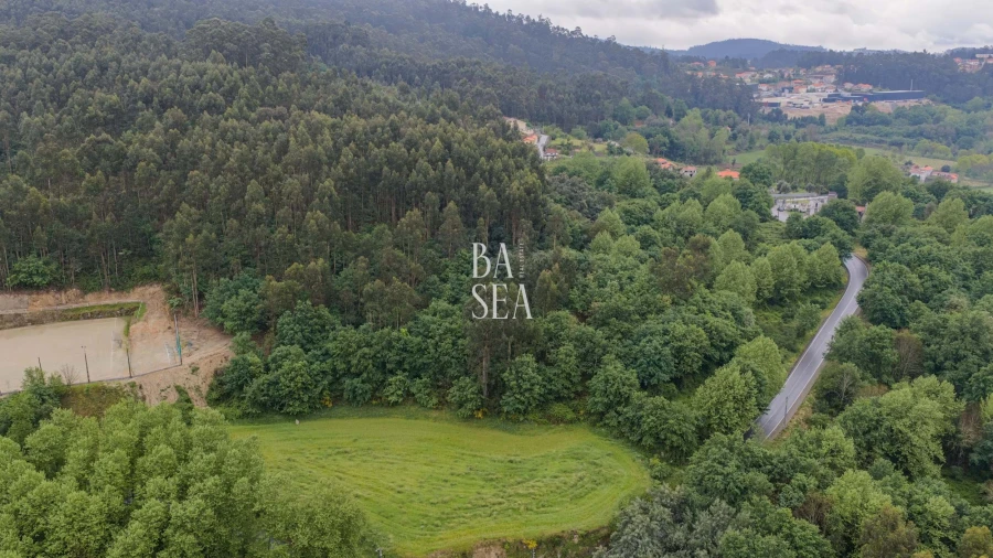 Quinta para Venda em Antime e Silvares (São Clemente) Foto 13