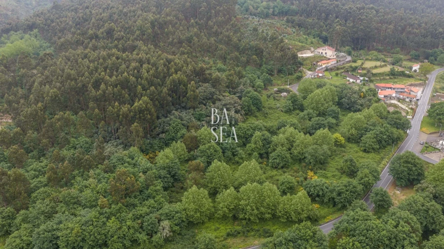 Quinta para Venda em Antime e Silvares (São Clemente) Foto 10