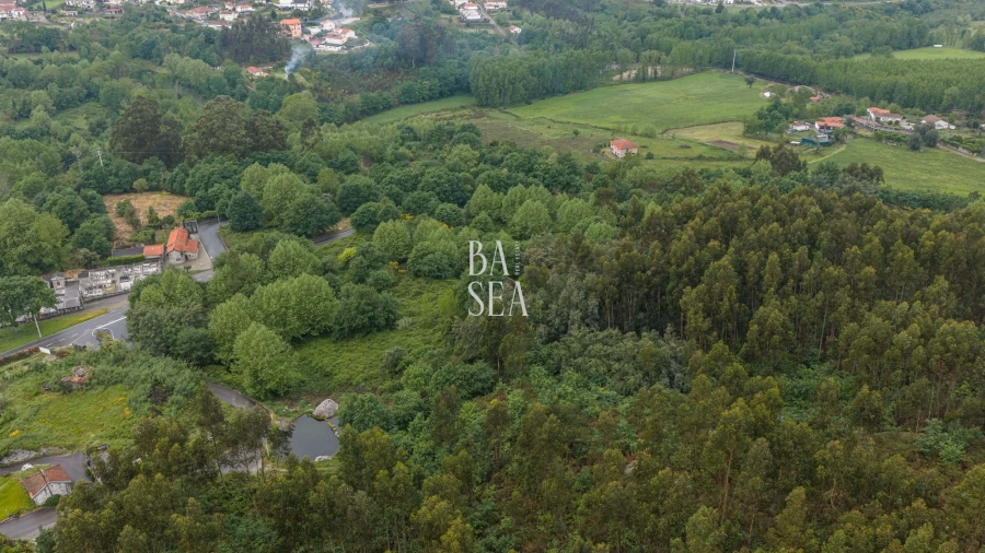 Quinta para Venda em Antime e Silvares (São Clemente) Foto 19