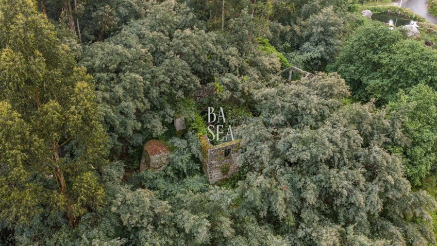 Quinta para Venda em Antime e Silvares (São Clemente) Foto 3