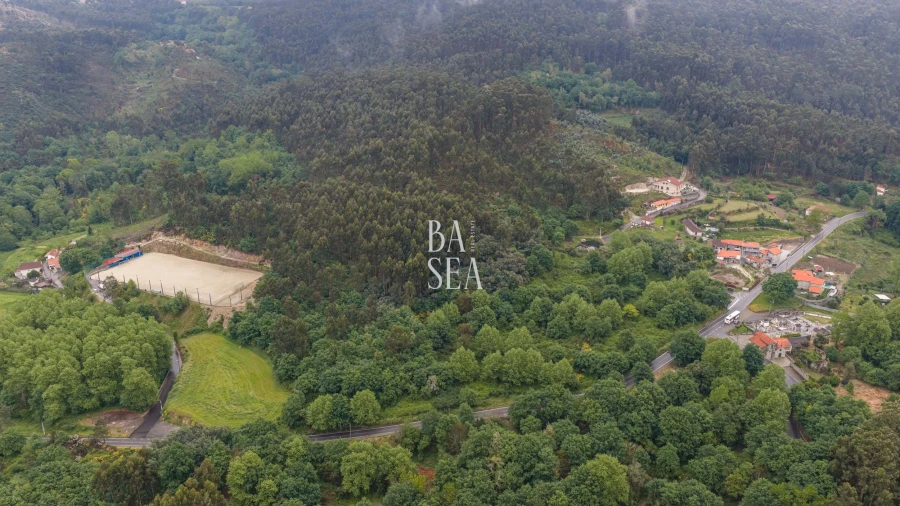 Quinta para Venda em Antime e Silvares (São Clemente) Foto 6