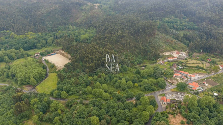 Quinta para Venda em Antime e Silvares (São Clemente) Foto 28