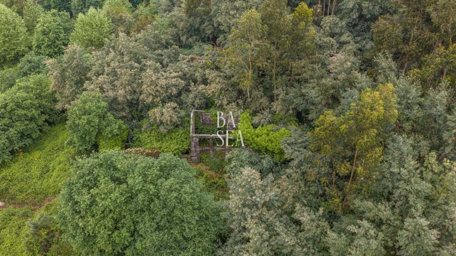 Quinta para Venda em Antime e Silvares (São Clemente) Foto 2