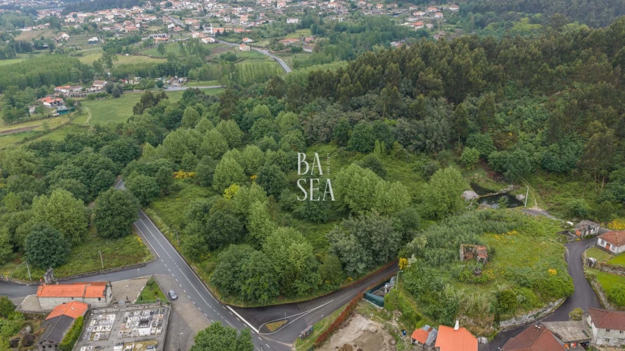 Quinta para Venda em Antime e Silvares (São Clemente) Foto 17