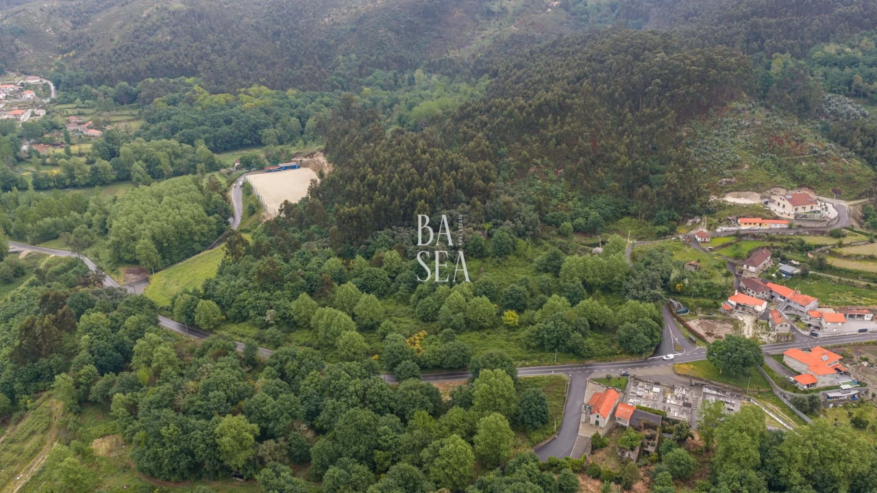 Quinta para Venda em Antime e Silvares (São Clemente) Foto 7