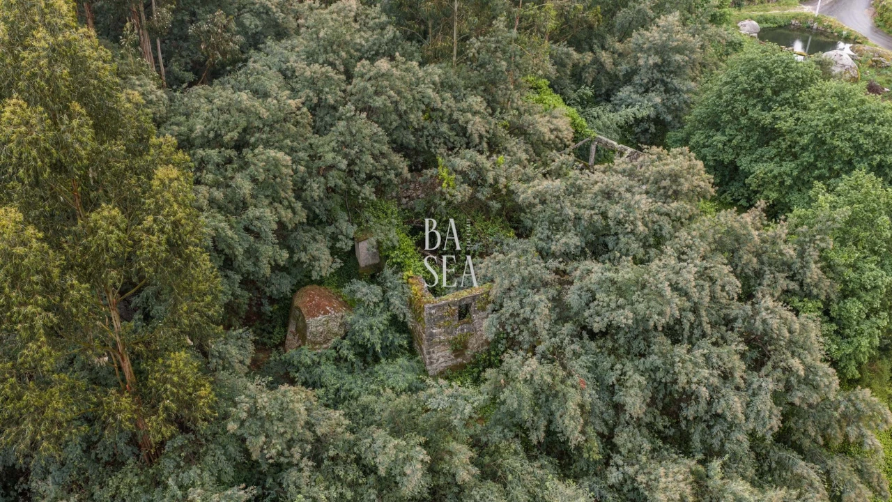 Quinta para Venda em Antime e Silvares (São Clemente) Foto 3