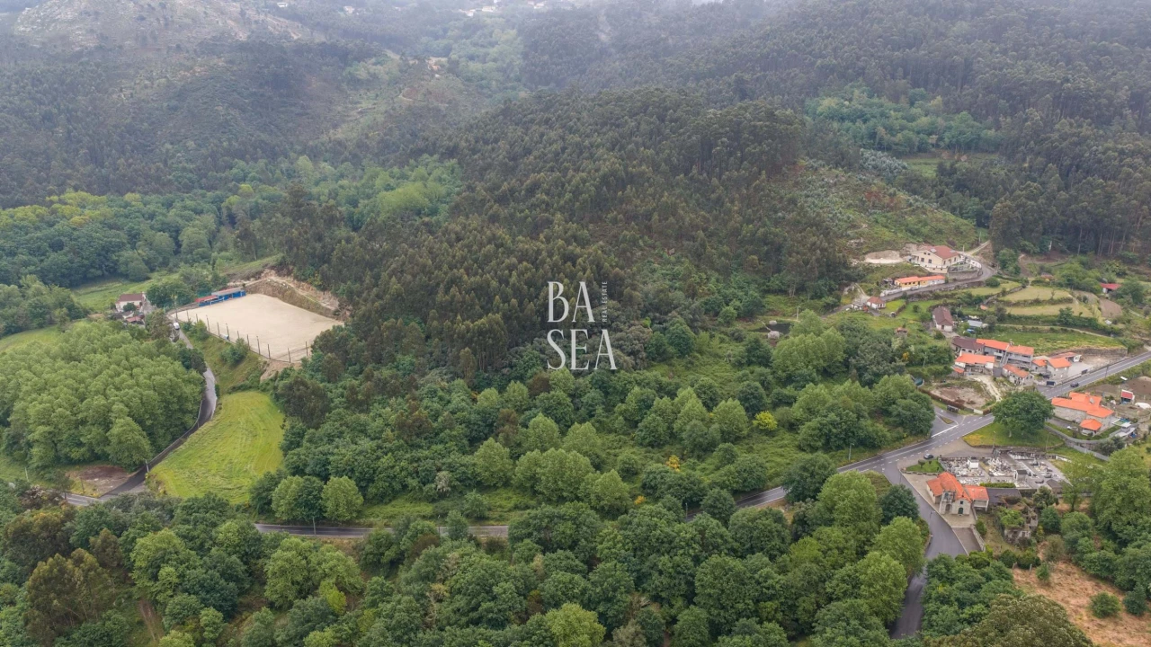 Quinta para Venda em Antime e Silvares (São Clemente) Foto 11