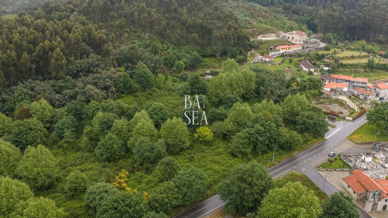 Quinta para Venda em Antime e Silvares (São Clemente) Foto 26