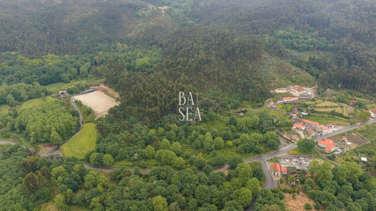 Quinta para Venda em Antime e Silvares (São Clemente) Foto 28