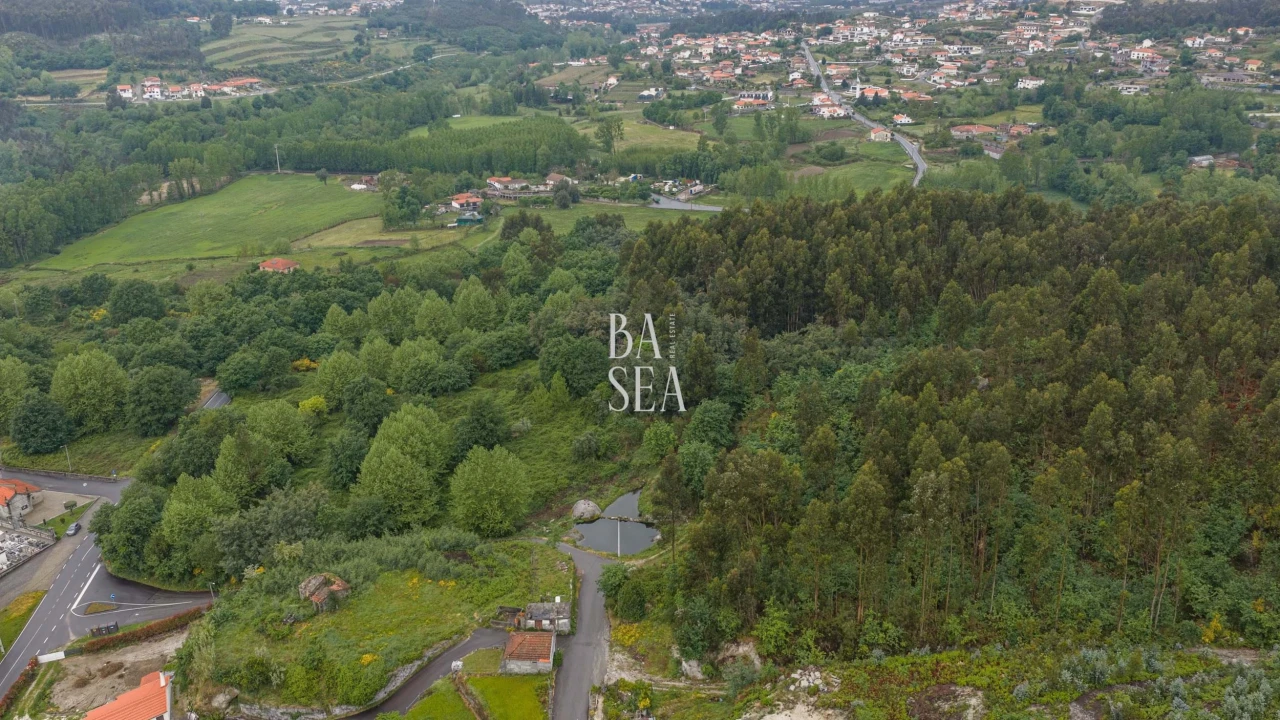Quinta para Venda em Antime e Silvares (São Clemente) Foto 18
