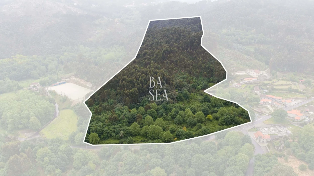 Quinta para Venda em Antime e Silvares (São Clemente) Foto 5