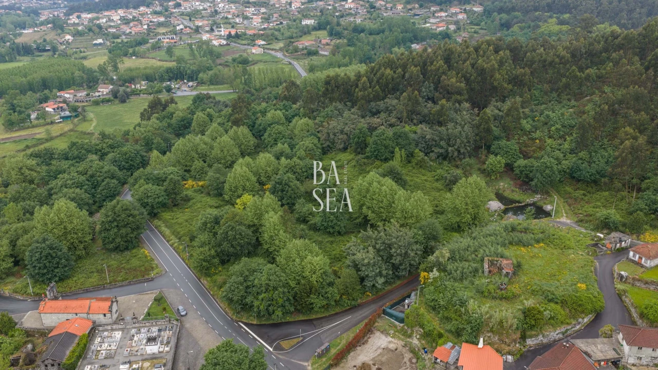 Quinta para Venda em Antime e Silvares (São Clemente) Foto 17