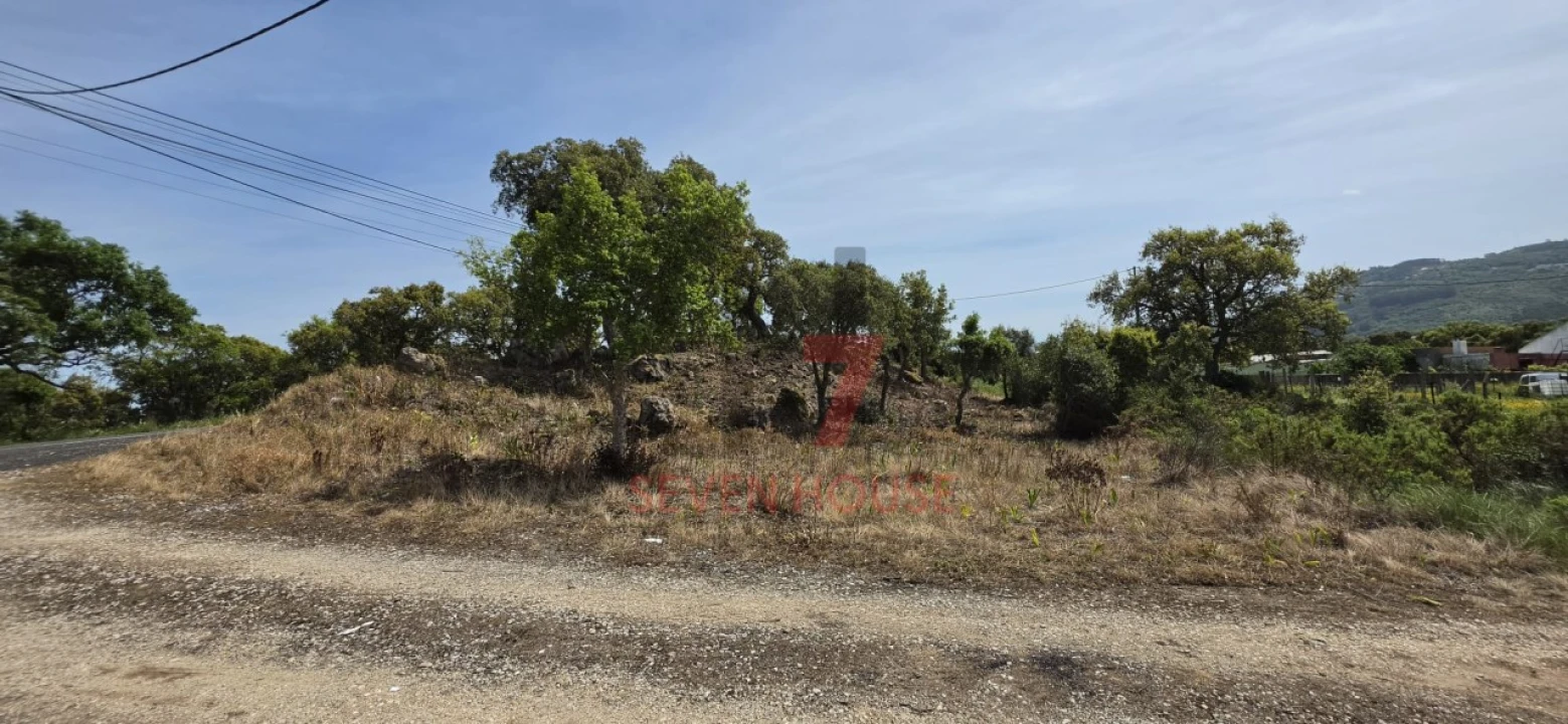 Terreno para Venda em Loures Foto 4