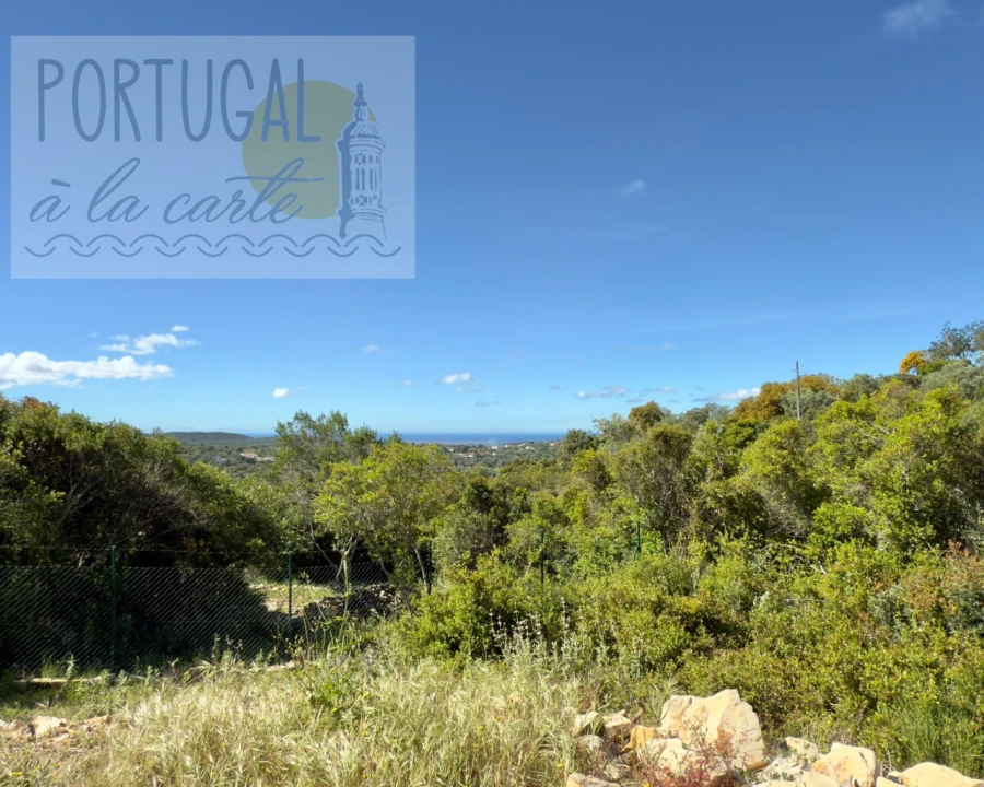Terreno para Venda em Santa Barbara de Nexe Foto 4