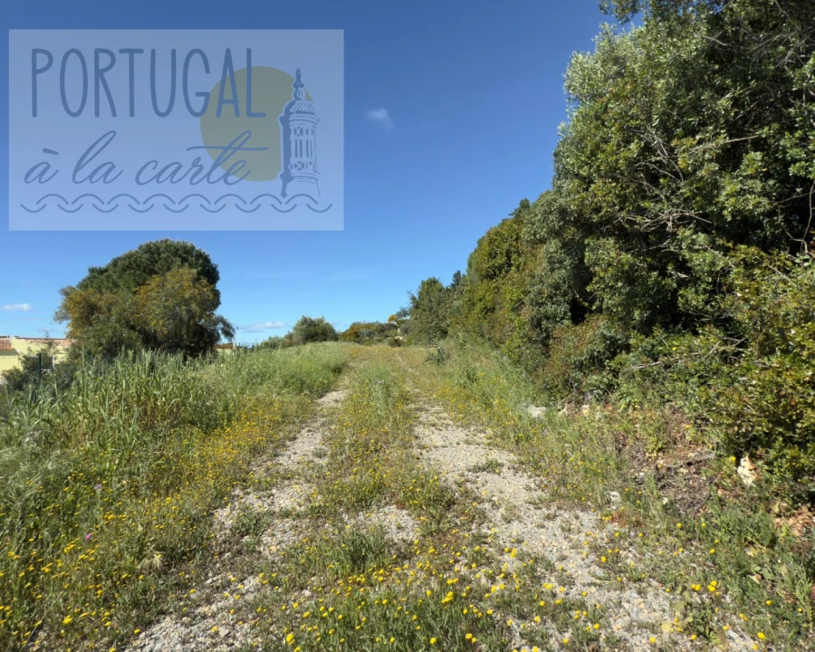 Terreno para Venda em Santa Barbara de Nexe Foto 14