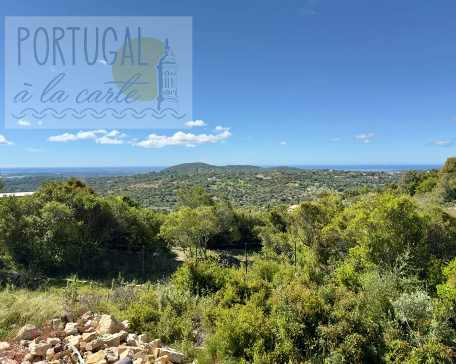 Terreno para Venda em Santa Barbara de Nexe Foto 3