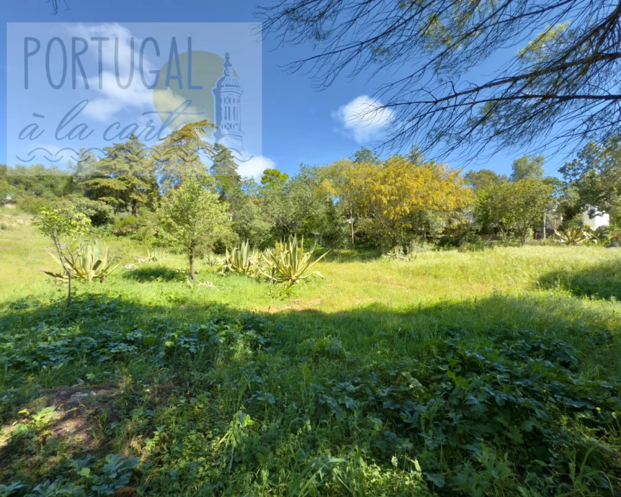 Terreno para Venda em Santa Barbara de Nexe Foto 8