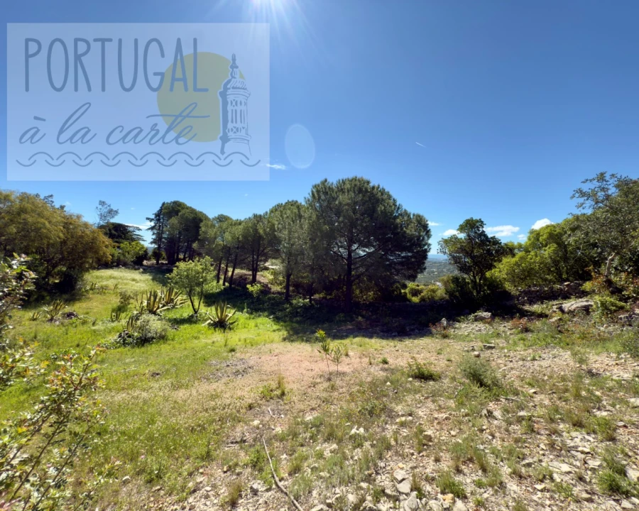 Terreno para Venda em Santa Barbara de Nexe Foto 12