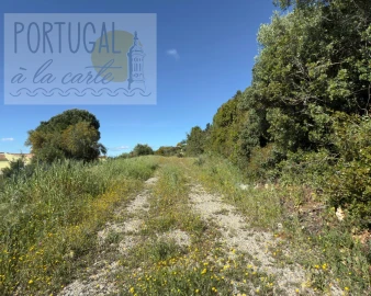 Terreno para Venda em Santa Barbara de Nexe