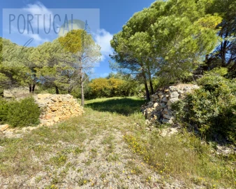 Terreno para Venda em Santa Barbara de Nexe