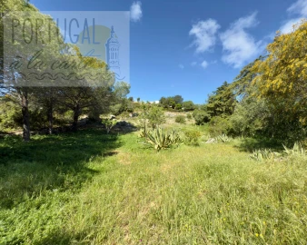 Terreno para Venda em Santa Barbara de Nexe