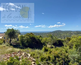 Terreno para Venda em Santa Barbara de Nexe