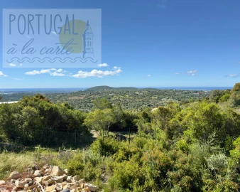 Terreno para Venda em Santa Barbara de Nexe