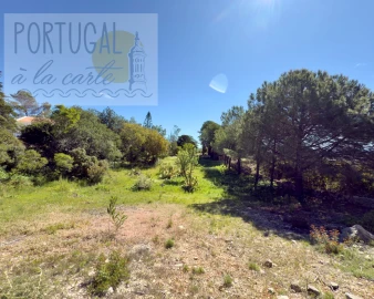 Terreno para Venda em Santa Barbara de Nexe