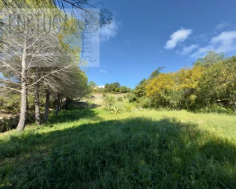 Terreno para Venda em Santa Barbara de Nexe