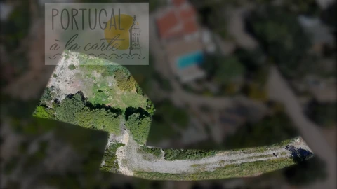 Terreno para Venda em Santa Barbara de Nexe