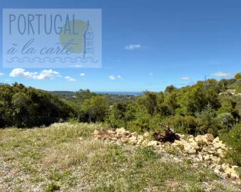 Terreno para Venda em Santa Barbara de Nexe